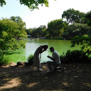 Gallery Photo 21