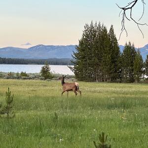 Gallery Photo 31