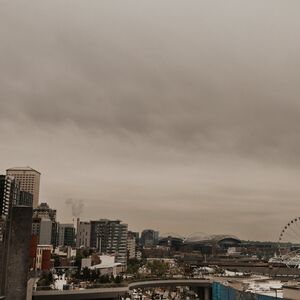 Gallery Photo 45