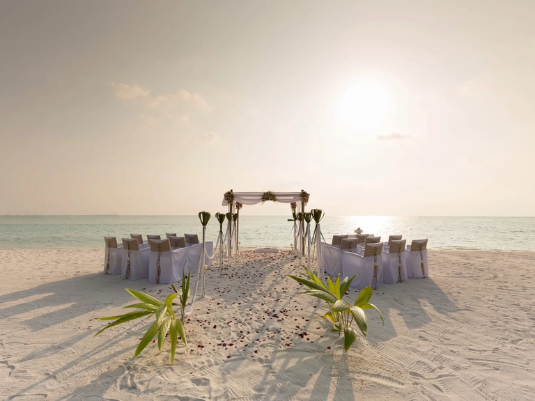 Dolphin Beach Resort for the best Florida wedding venue