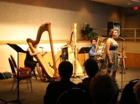 Andrea Wittchen - Harpist - Bethlehem, PA - Hero Gallery 4