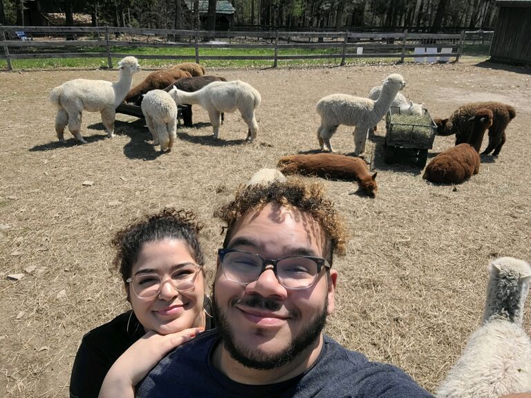Anniversary weekend alpacas π¦π¦π¦