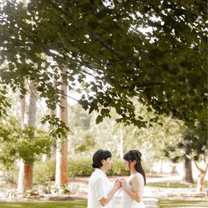 Gallery Photo 11