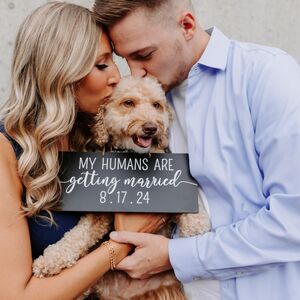 Gallery Photo 36