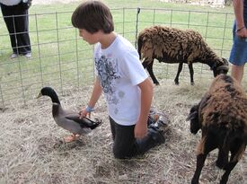 Pony Rides and Petting Zoo - Petting Zoo - San Antonio, TX - Hero Gallery 4