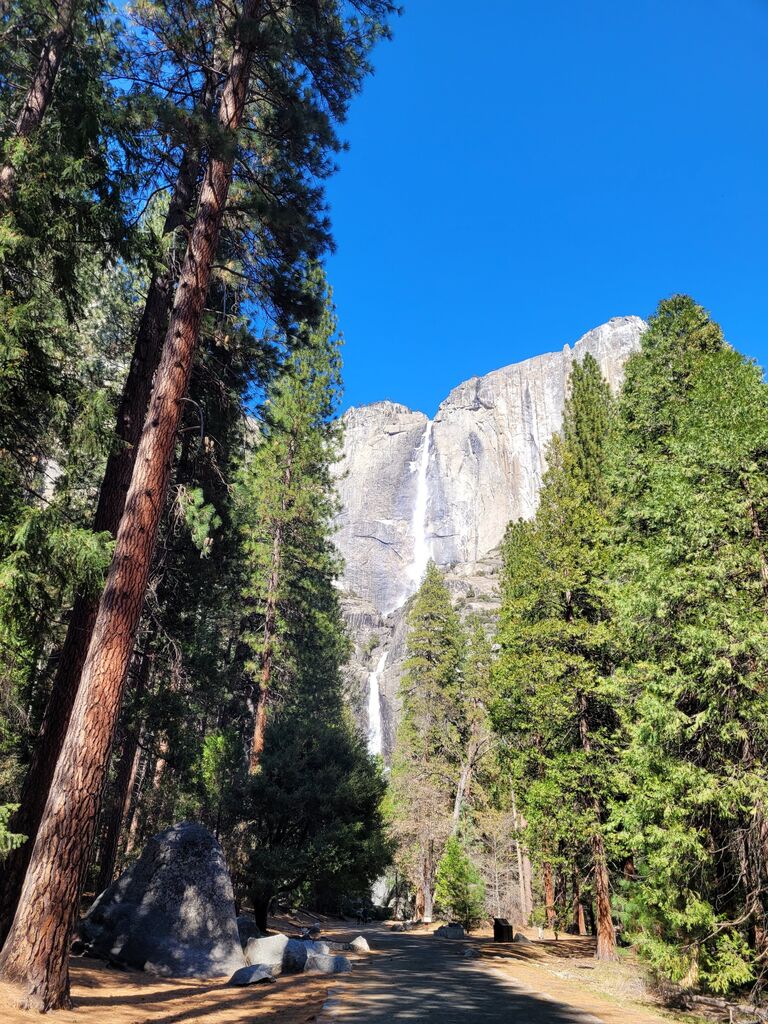 Yosemite, CA 
1 Year Anniversary 