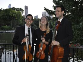 SPN Events - String Quartet - New York City, NY - Hero Gallery 4