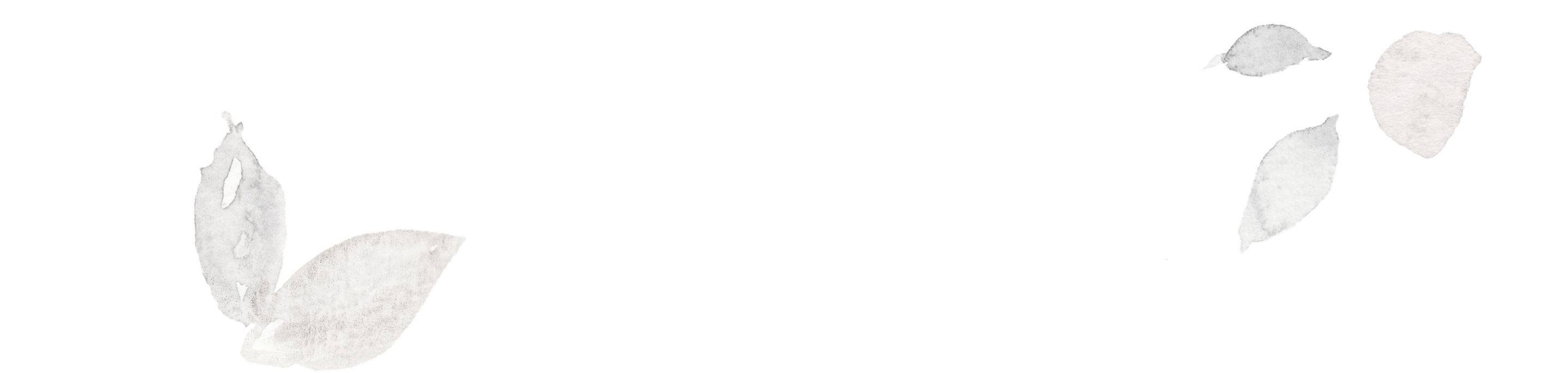 Bottom Theme Image