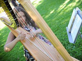 Elysia Román - Harpist - Poughkeepsie, NY - Hero Gallery 1