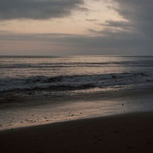 Gallery Photo 69