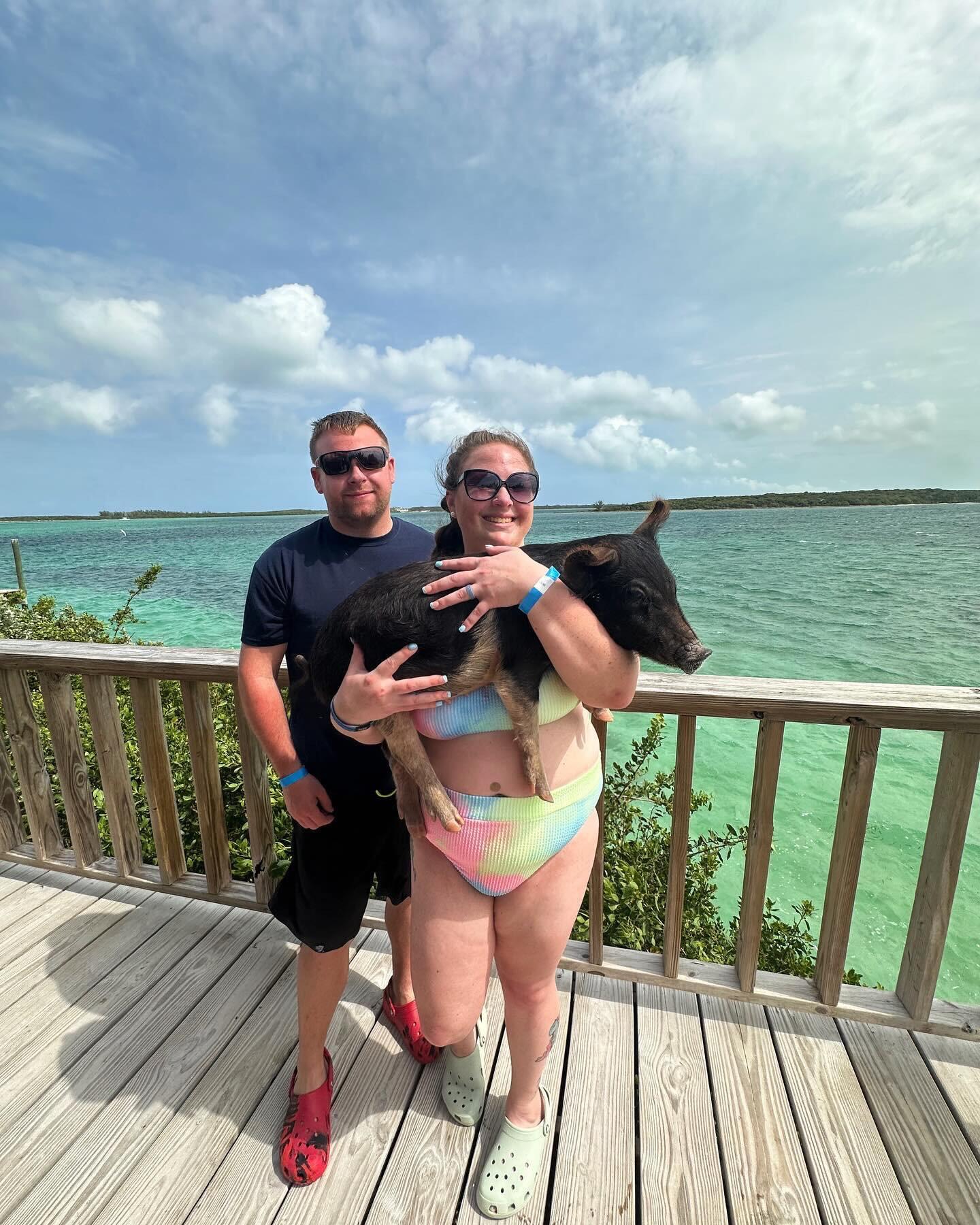 Pig Island 