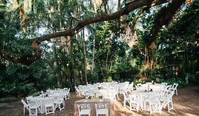 Sunken Gardens Top St Petersburg Fl Wedding Venue