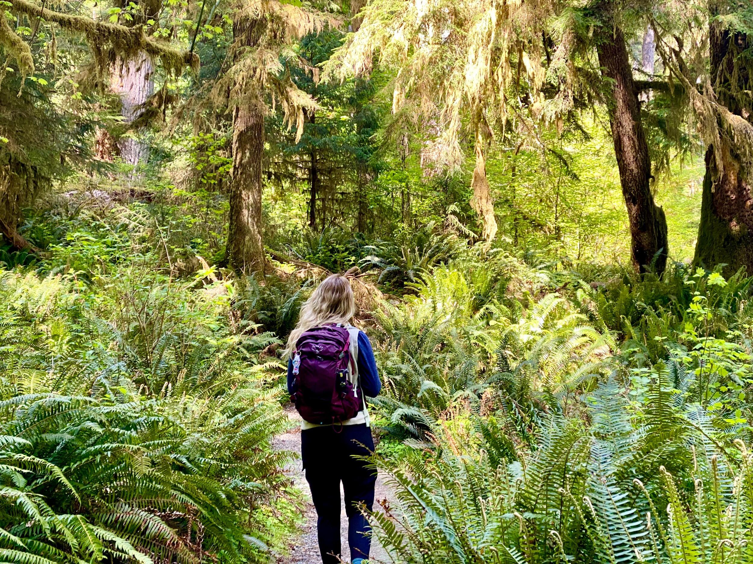 Last stop, Olympic National Park in Washington!