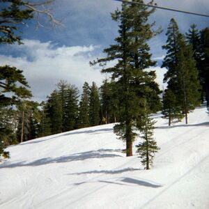 Gallery Photo 13