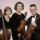 3 DUOS - ROMANTIC HARP & VIOLIN, CLASSICAL GUITAR & VIOLIN, CLASSIC STRING DUO (violin & cello).