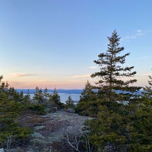 Gallery Photo 61