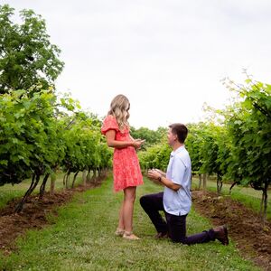 Gallery Photo 23