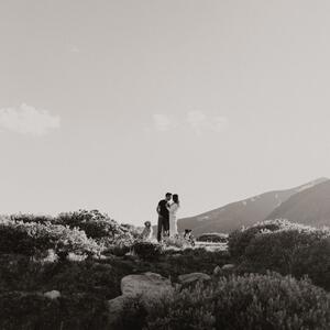 Gallery Photo 26