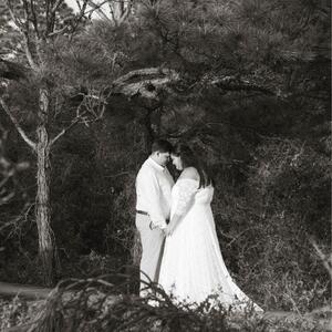 Gallery Photo 96