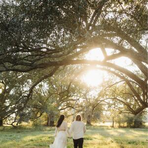 Gallery Photo 32