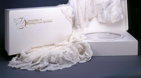 The knot hotsell wedding dress preservation