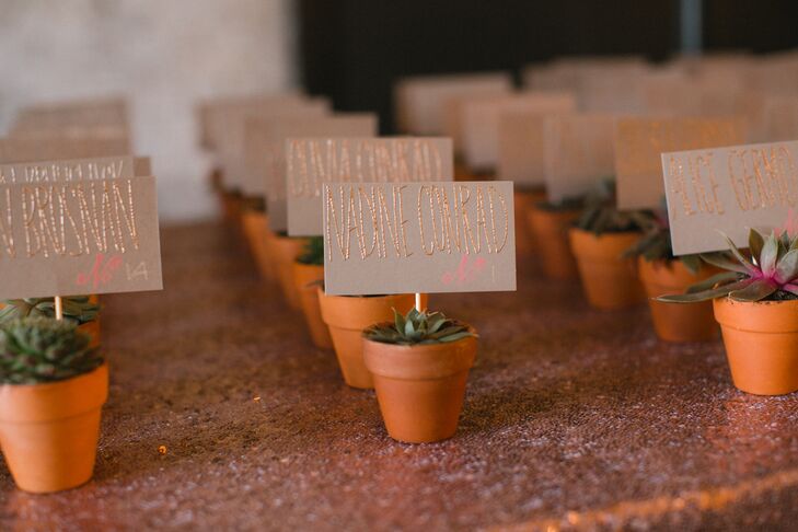 Diy Potted Succulent Place Cards