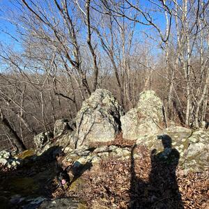Gallery Photo 36