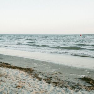 Gallery Photo 54
