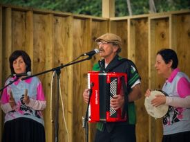 Alan Meyers - Accordion Player - Pittsburgh, PA - Hero Gallery 4