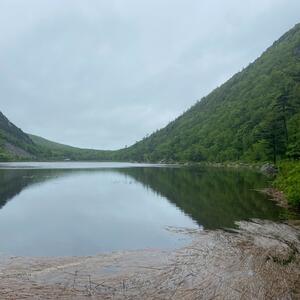 Gallery Photo 11