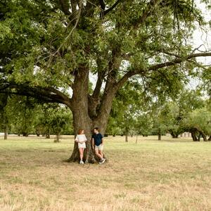 Gallery Photo 29