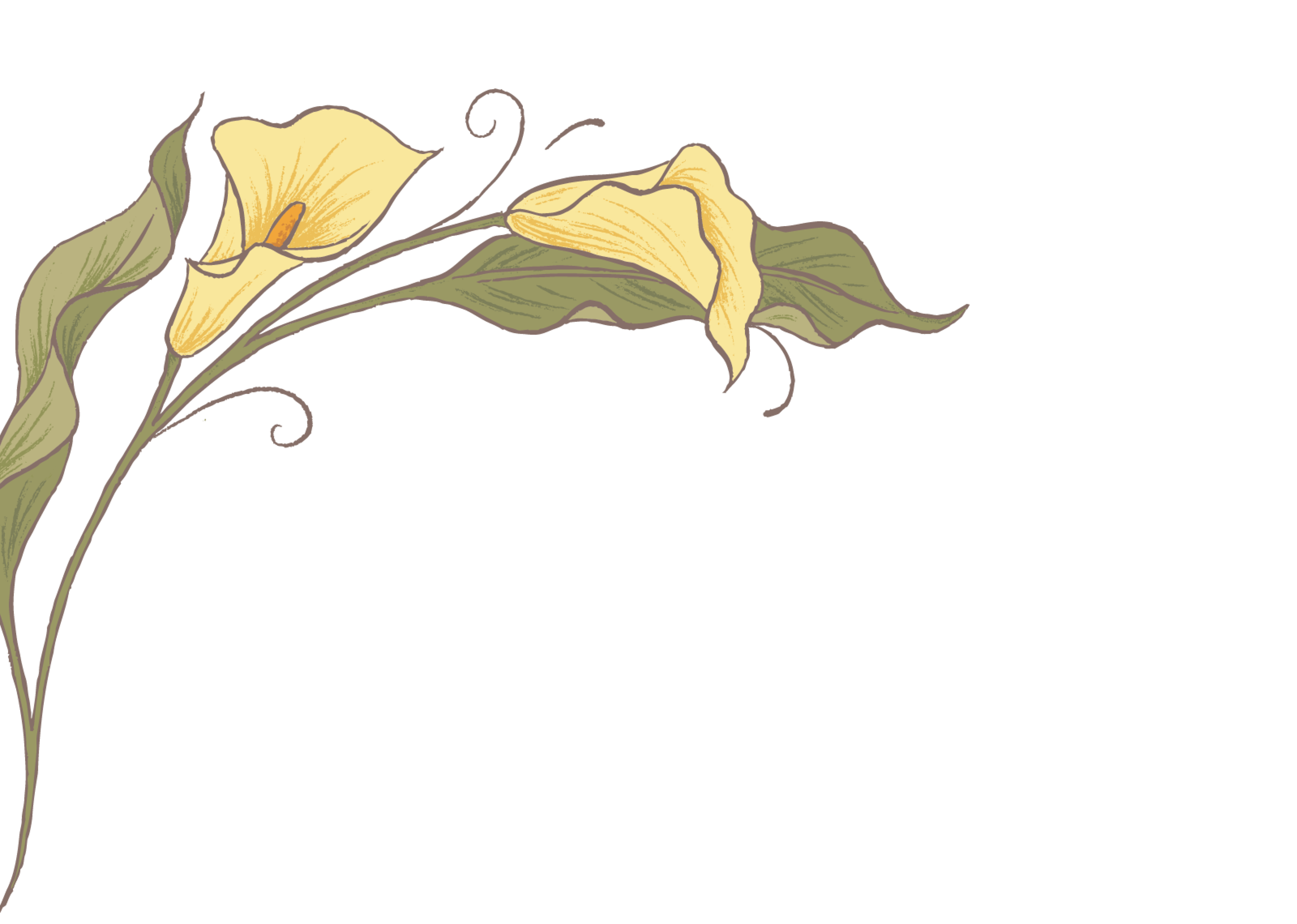 Top Theme Image