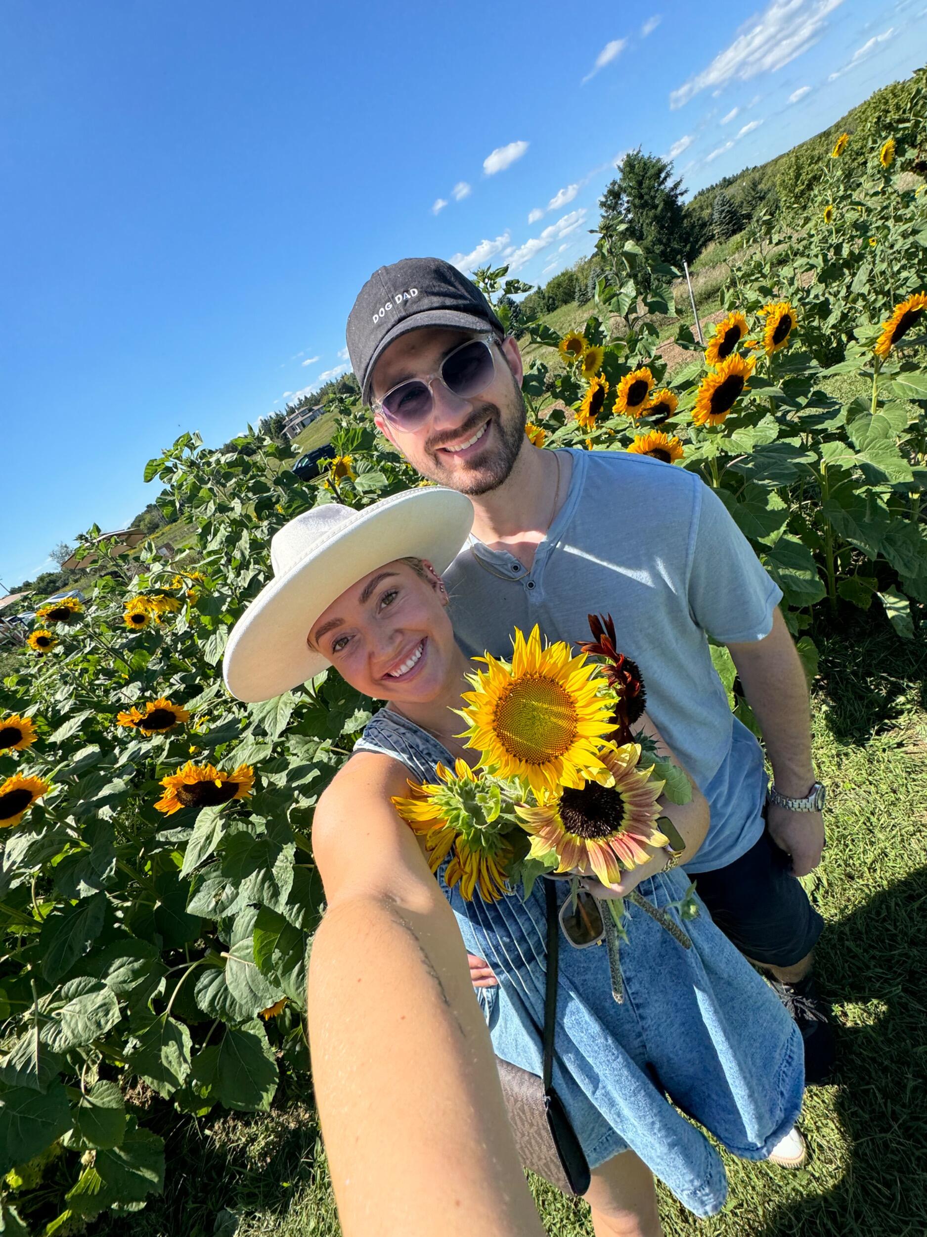 Sunflower Picking