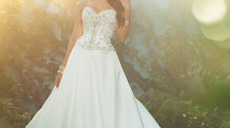 Champagne And Lace Bridal