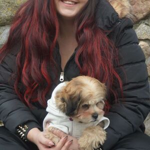 Gallery Photo 24