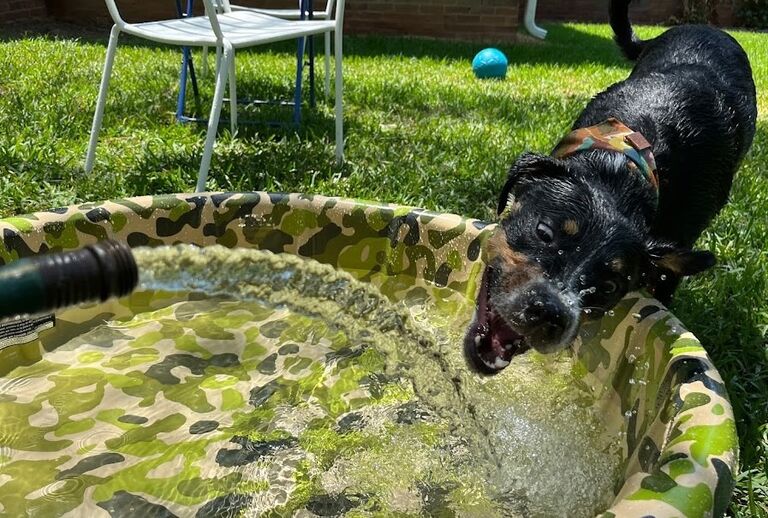 Pool party!!