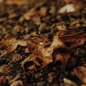 Gallery Photo 33