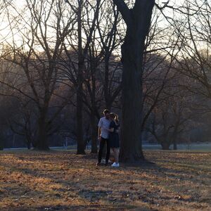 Gallery Photo 6