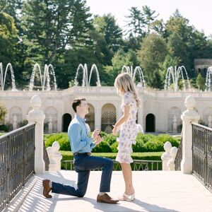 Gallery Photo 25