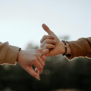 Gallery Photo 15