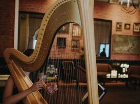 The Traveling Harpist - Harpist - Tustin, CA - Hero Gallery 1
