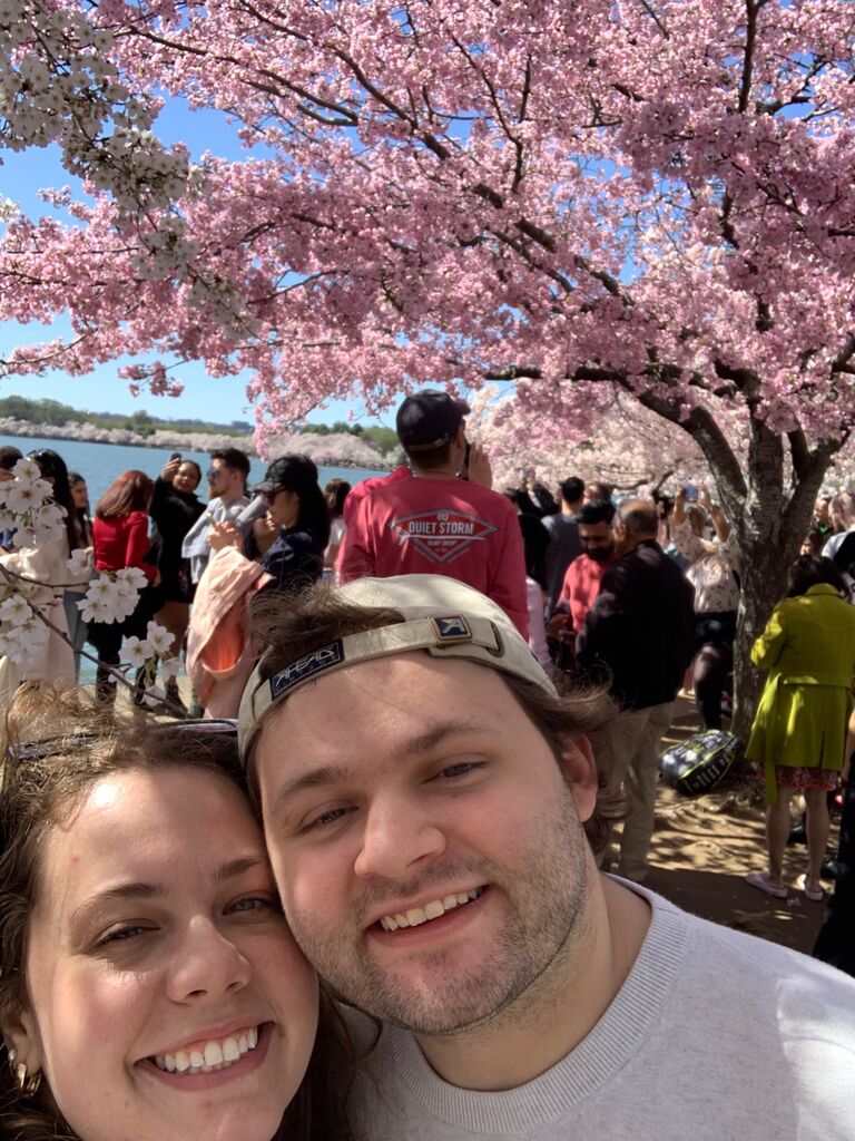 Basking in the beauty of the DC cherry blossoms.