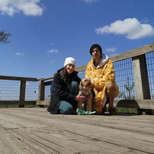 Gallery Photo 24