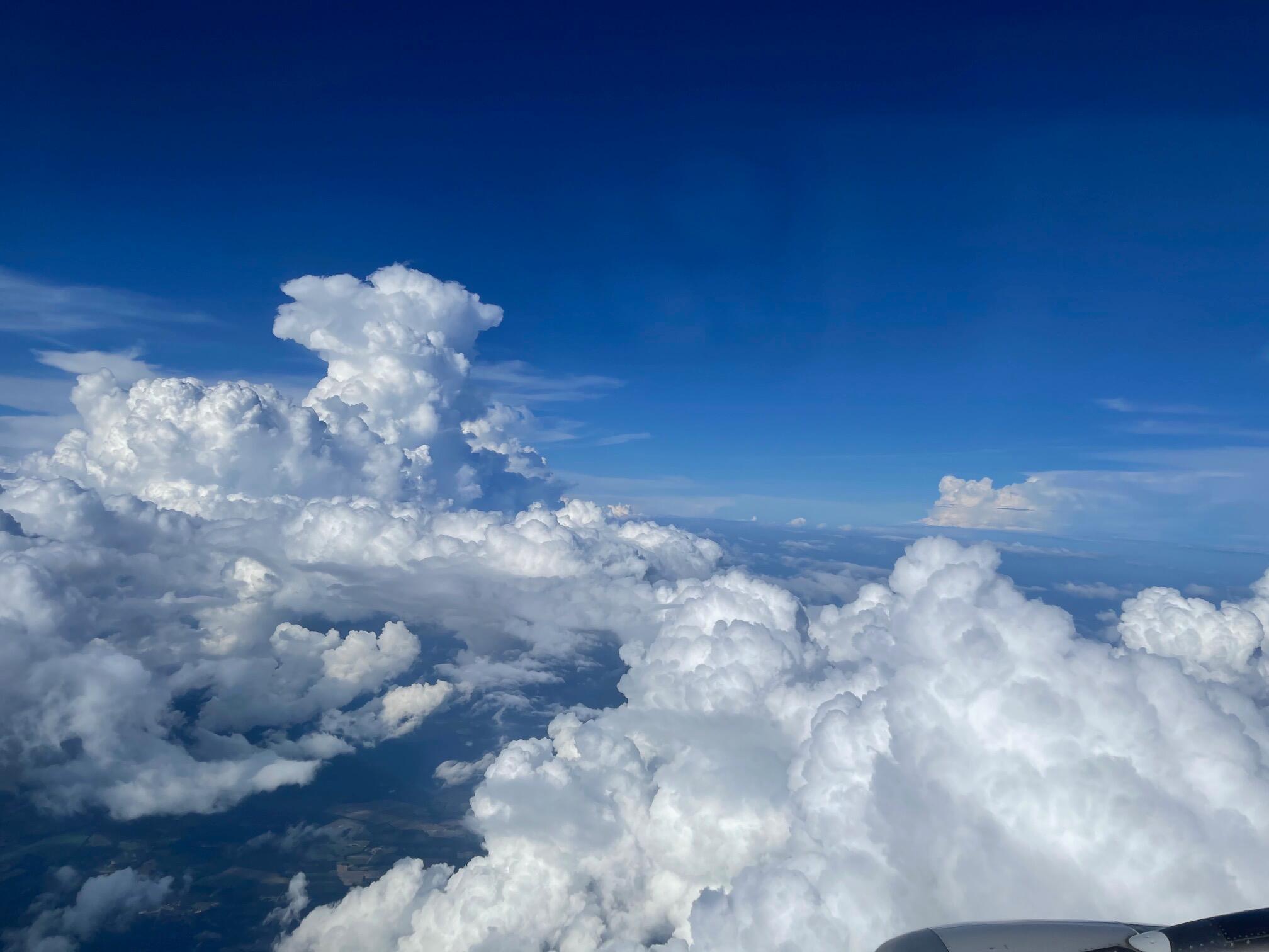 Birds eye - I heard they had plenty of time to take pictures on the plane 