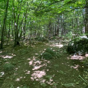 Gallery Photo 40