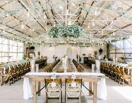Stunning reception space in a glass greenhouse with hanging foliage