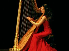 Anna Maria Mendieta - Harp Solo & Ensemble - Harpist - San Francisco, CA - Hero Gallery 1