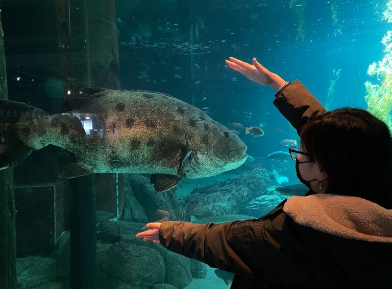 Road trip to Monterey Bay Aquarium! 
When Amy compares herself to fish!