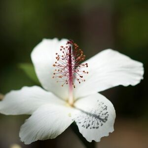 Gallery Photo 14