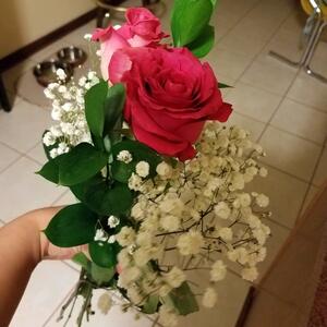 Gallery Photo 38